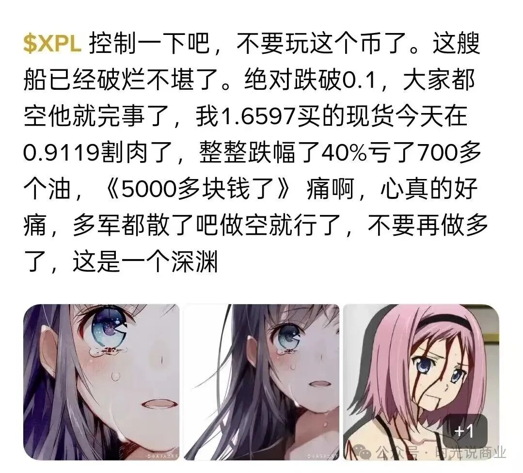 【泰达公司】相关项目【XPL】被爆割韭菜！收割了数十亿！