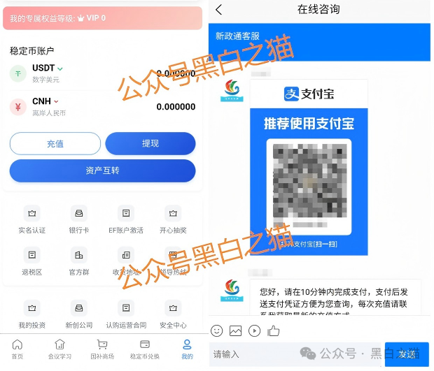 资金盘｜臆造“新政通”冒充国家机构，拉人头非法吸收公民资金......