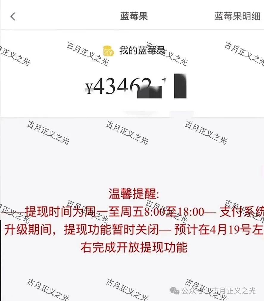 骗局【蓝莓甄选】抢单寄售类资金盘，“艾兴合”同模式，已经不能提现，崩盘