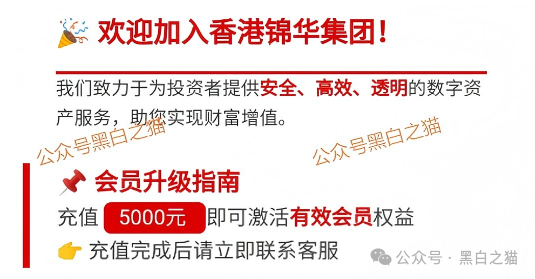 “锦华传媒”借用流量噱头起盘，实则换汤不换药还是涉诈项目......