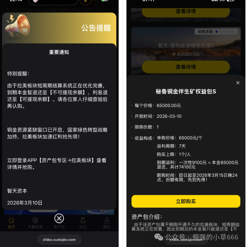 【高危预警】智天数域（ZT Domain）崩盘倒计时：碰瓷名企、传销拉新、转币收割，全链条骗局大起底！