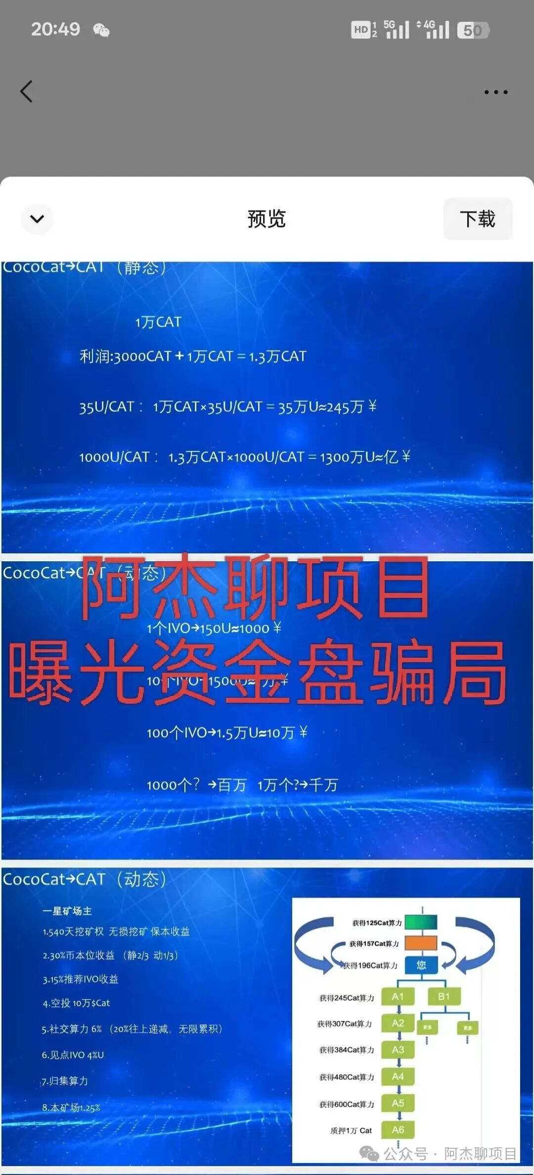 警惕！大型资金盘cococat（菠萝猫），专割国人的庞氏血盘，别再做待宰的羔羊。