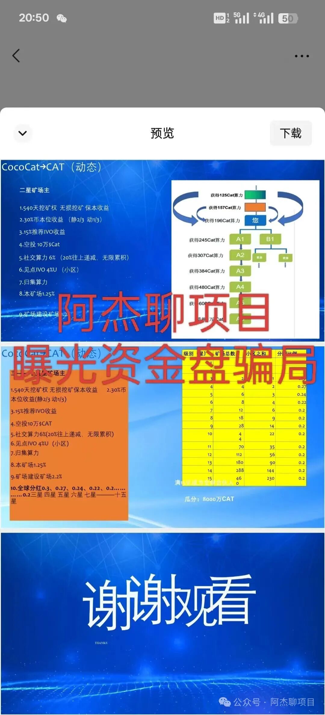 警惕！大型资金盘cococat（菠萝猫），专割国人的庞氏血盘，别再做待宰的羔羊。