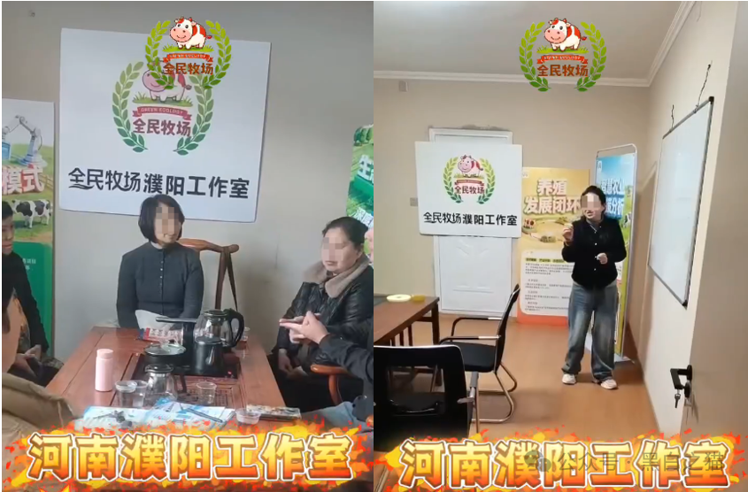 揭露“全民牧场”真实意图，皆为盘总的新项目……