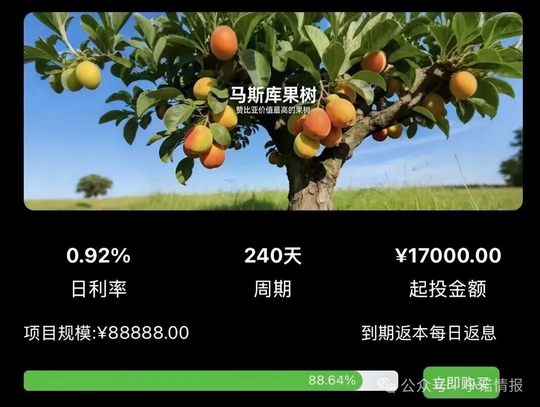 警惕!“华洋绿投”海外种果树,专骗想赚快钱的普通人! 赤裸裸资金盘骗局! 警惕!“华洋绿投”海外种果树,专骗想赚快钱的普通人! 赤裸裸资金盘骗局!