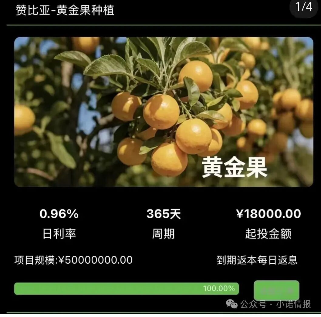 警惕!“华洋绿投”海外种果树,专骗想赚快钱的普通人! 赤裸裸资金盘骗局! 警惕!“华洋绿投”海外种果树,专骗想赚快钱的普通人! 赤裸裸资金盘骗局!