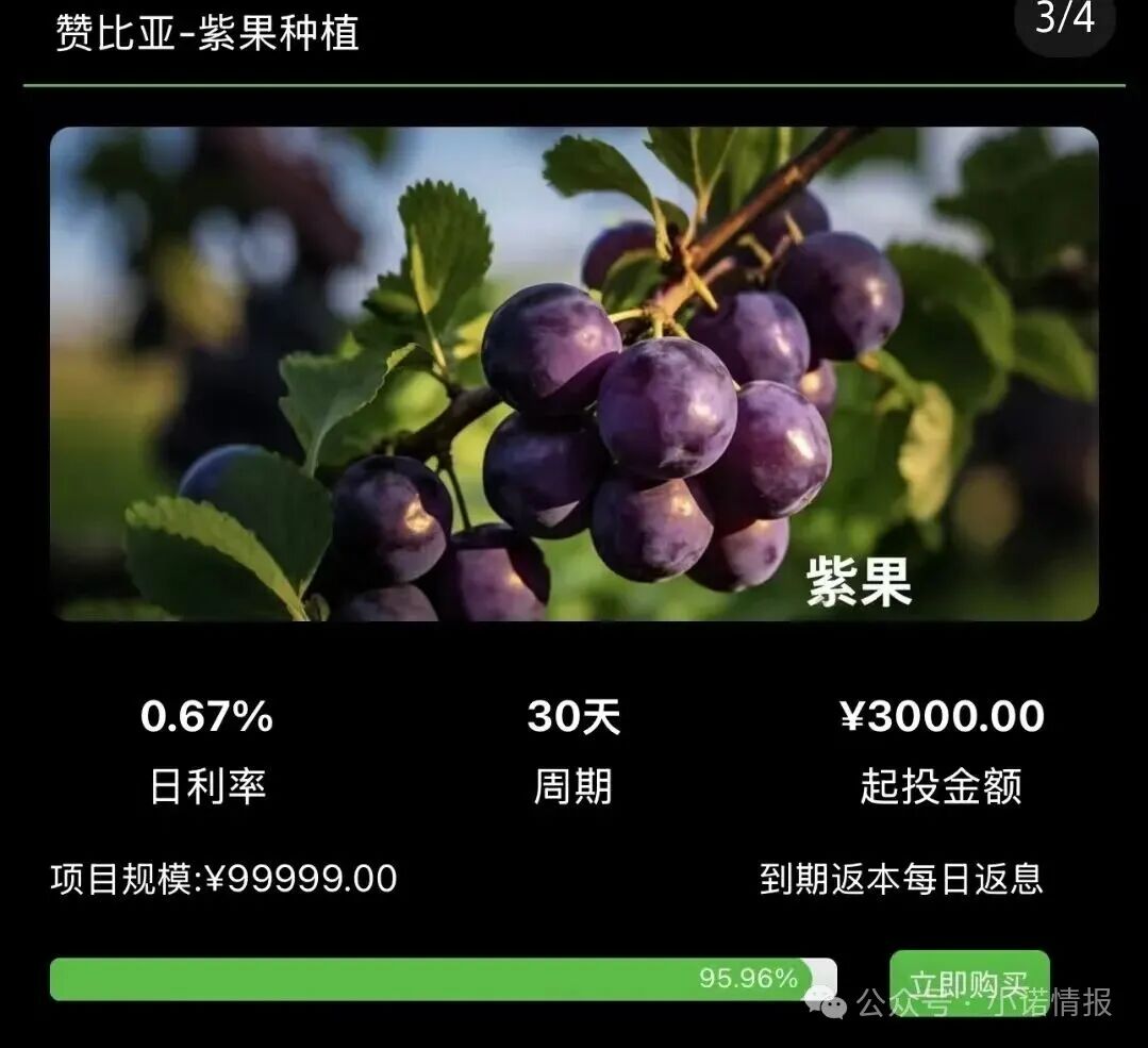 警惕!“华洋绿投”海外种果树,专骗想赚快钱的普通人! 赤裸裸资金盘骗局! 警惕!“华洋绿投”海外种果树,专骗想赚快钱的普通人! 赤裸裸资金盘骗局!