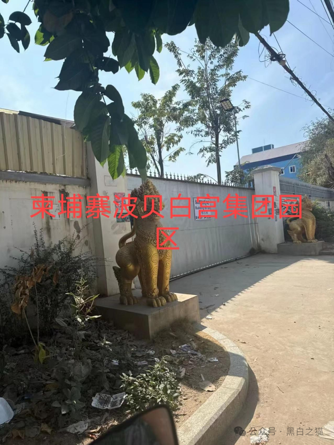 资金盘｜“Olga歐嘉”项目盘的背后是谁？如此不停收割韭菜......