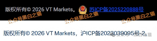 外汇盘｜境外“Vt Markets”遭仿冒，国内吸金不止，杀猪盘骗局又起......