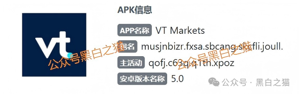 外汇盘｜境外“Vt Markets”遭仿冒，国内吸金不止，杀猪盘骗局又起......