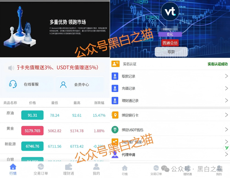 外汇盘｜境外“Vt Markets”遭仿冒，国内吸金不止，杀猪盘骗局又起......