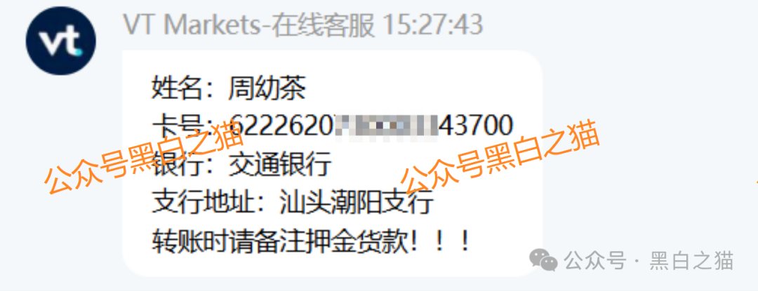 外汇盘｜境外“Vt Markets”遭仿冒，国内吸金不止，杀猪盘骗局又起......
