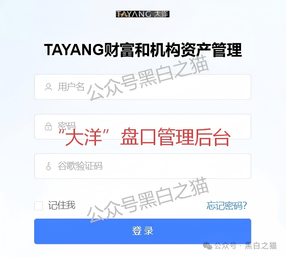 资金盘｜套牌“大洋”做非法项目，漏洞百出陷阱多，随时崩盘请远离......