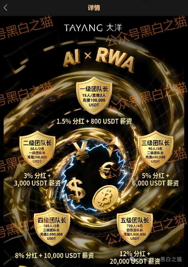 资金盘｜套牌“大洋”做非法项目，漏洞百出陷阱多，随时崩盘请远离......