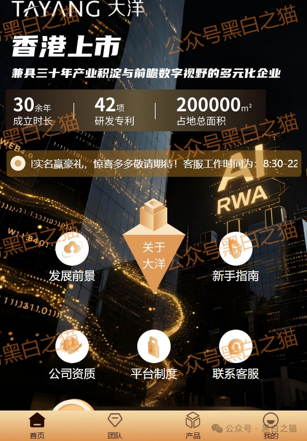 资金盘｜套牌“大洋”做非法项目，漏洞百出陷阱多，随时崩盘请远离......