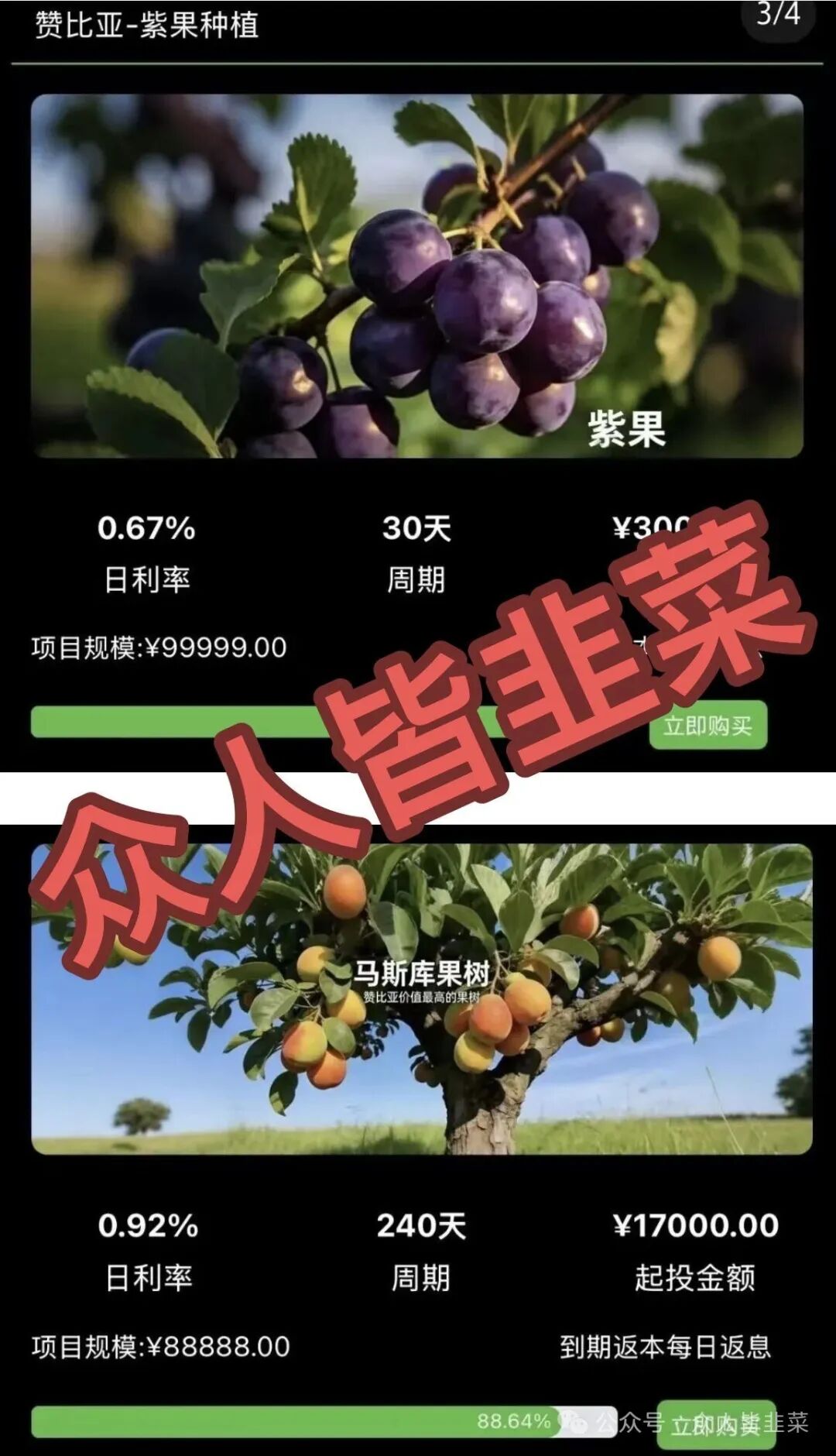 【超级未来，华洋绿投，新永安国际】这3个项目都是骗局，已卷走玩家血汗钱上百亿！别再被骗了，赶紧远离！
