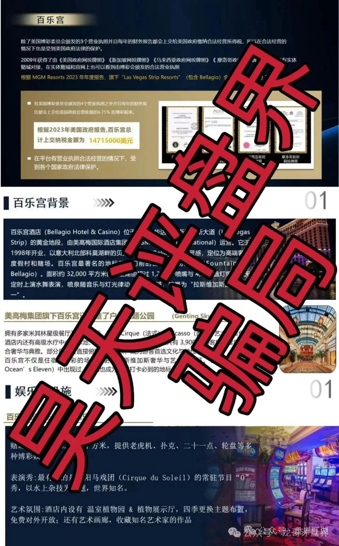 【顺达集团】彩票骗局改名卷土重来，仍是资金盘即将崩盘跑路！
