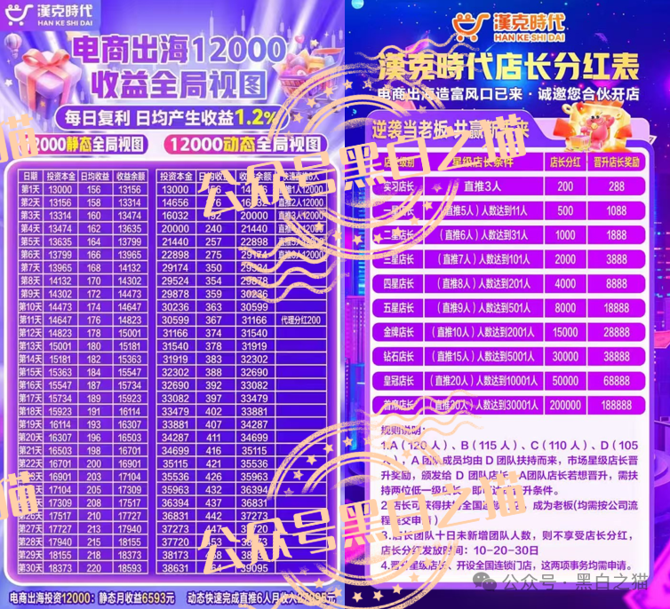 “汉克时代”企业被碰瓷，境外团伙伪冒证照做资金盘，团队长知假贩假......