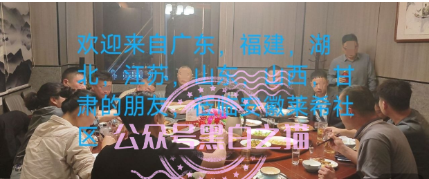 “MP蒙哥马利”项目暗藏玄机,巨大渔网洒向投资人 “MP蒙哥马利”项目暗藏玄机,巨大渔网洒向投资人