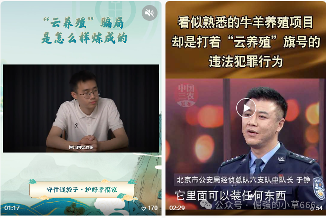 警惕“云养殖”骗局：多部门联合预警，别让“智慧农业”沦为“杀猪盘”