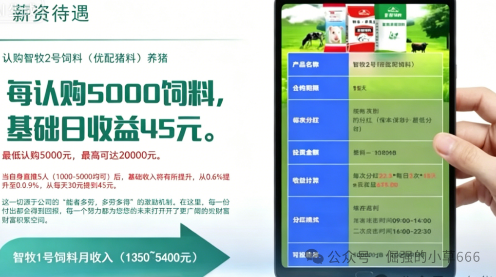 警惕“云养殖”骗局：多部门联合预警，别让“智慧农业”沦为“杀猪盘”