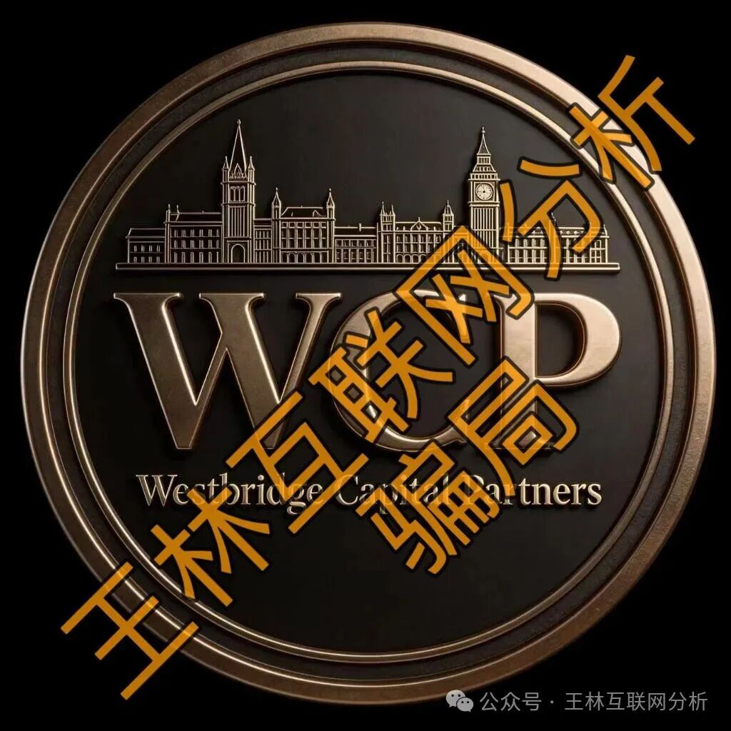 【西境资本,逸荣晟财富,星辉商城】这3个项目都是骗局,骗子专盯你的钱袋