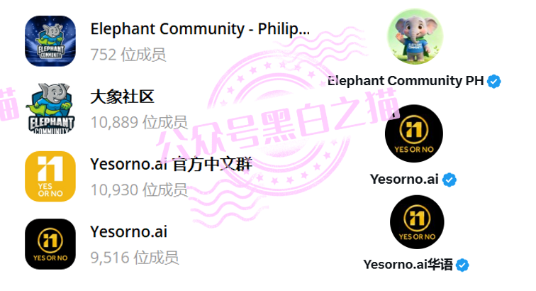 【YESORNO+大象社区】项目背景虚造,涉及私设赌场罪,团队长好自为之......