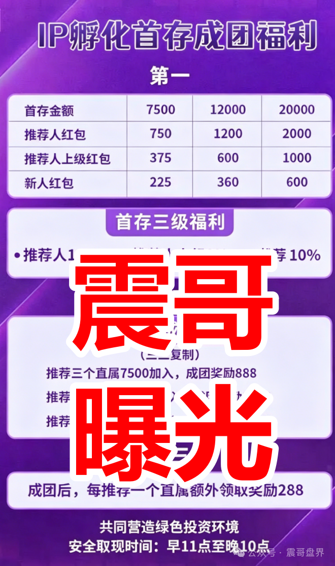 【HAVAS(汉威士)】IP孵化资金盘骗局,拉人头涉嫌违法,看见远离!