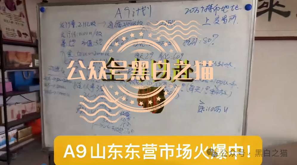 “MP蒙哥马利”人马转移“A9”项目,换成链上赌盘,投资人逃不过被割结局..... “MP蒙哥马利”人马转移“A9”项目,换成链上赌盘,投资人逃不过被割结局.....