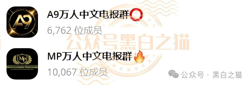 “MP蒙哥马利”人马转移“A9”项目,换成链上赌盘,投资人逃不过被割结局..... “MP蒙哥马利”人马转移“A9”项目,换成链上赌盘,投资人逃不过被割结局.....