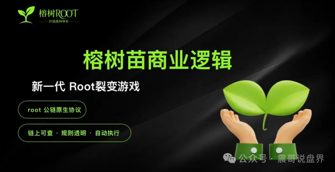 榕树ROOT(榕树苗)是资金盘骗局,拉人头涉嫌违法,看见远离 榕树ROOT(榕树苗)是资金盘骗局,拉人头涉嫌违法,看见远离