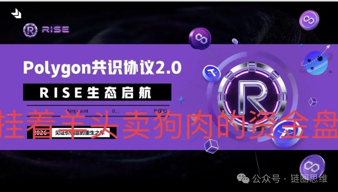 预警【RISE】挂着羊头卖狗肉，打着polygon官方共识协议招摇撞骗，实际就是一个单边上涨拉布布模型，崩盘倒计时！