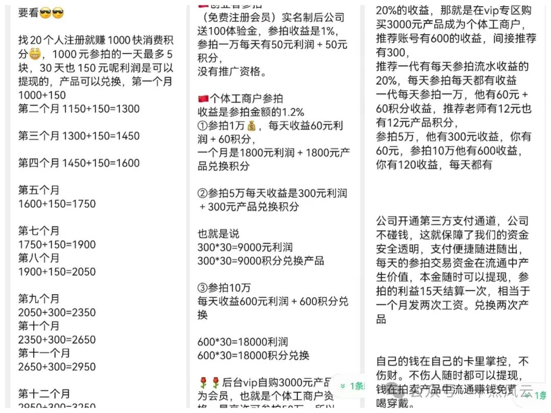 深度观察【兴谷精选】参拍返利模式复盘！对标崩盘的长城易趣，套路几乎一模