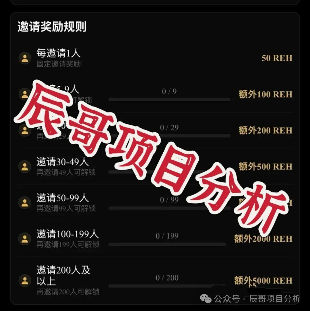 RWA生态Hub（REH）纯拉人头资金盘，高度预警，远离！