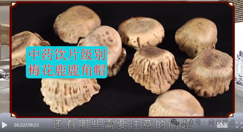 警惕《名医讲堂》伪养生栏目！披着科普外衣，专门收割中老年人