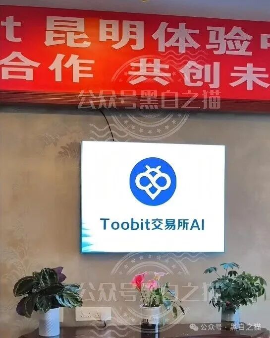 伪冒 “Toobit”（图比特）骗局洗地严重，域名多样化续命，离崩盘有多远？