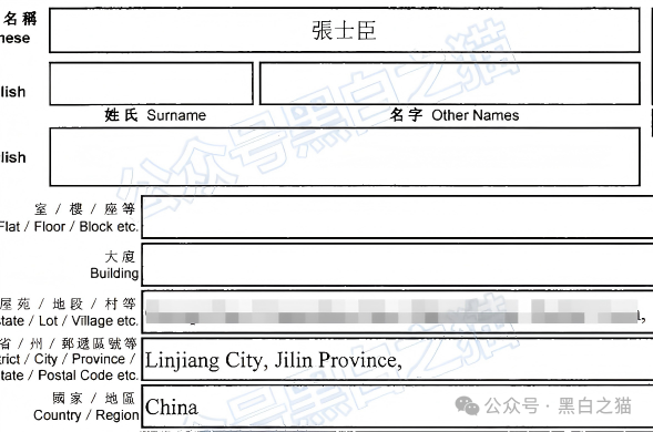 近期“鸿利达”盘口负面爆棚，老年盘“数智为民”紧跟其后，投资者审时度势赶紧撤退......