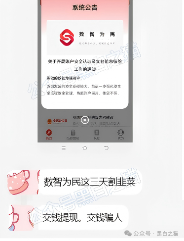 近期“鸿利达”盘口负面爆棚，老年盘“数智为民”紧跟其后，投资者审时度势赶紧撤退......
